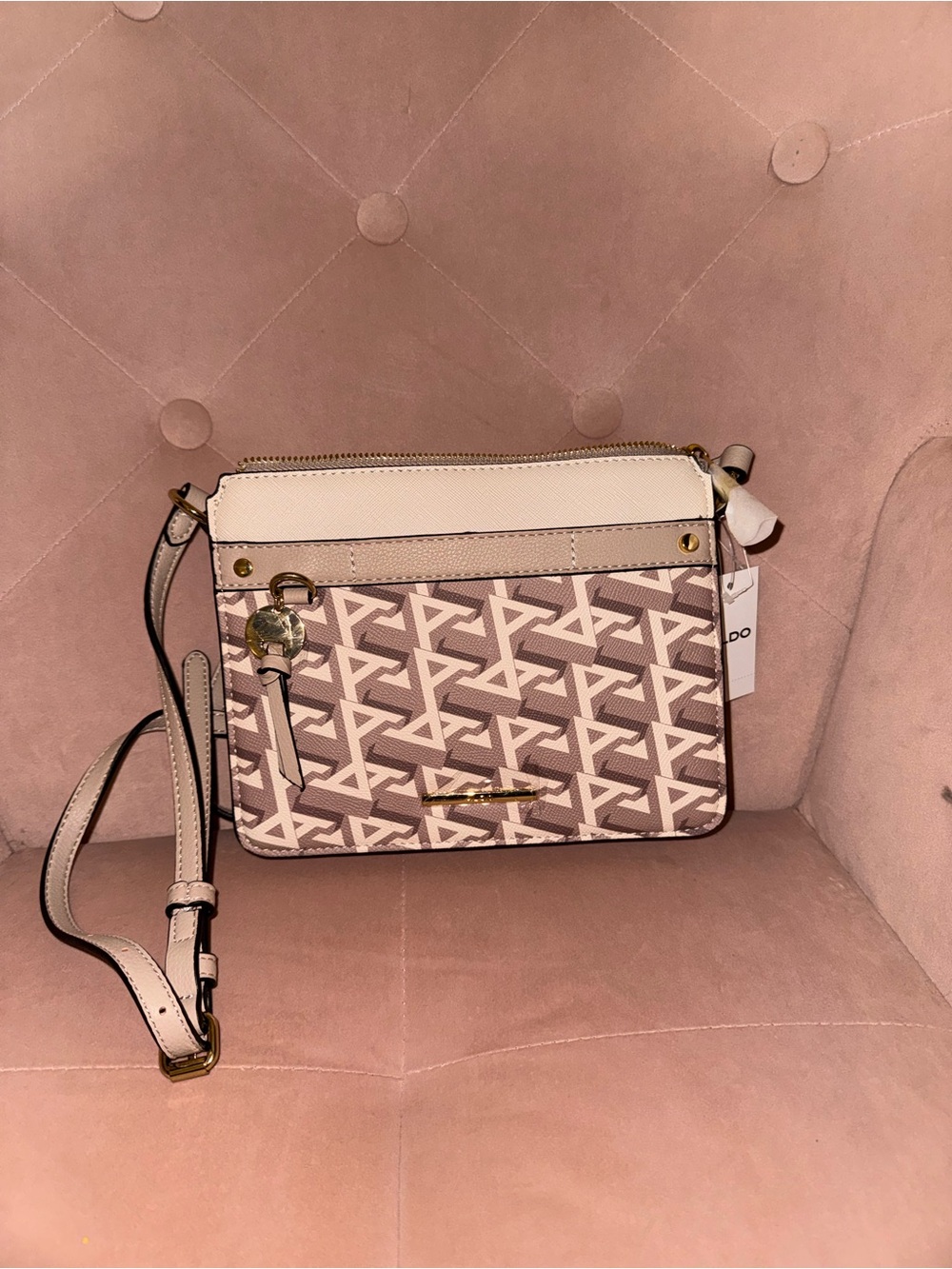 Aldo Crossbody Bag
